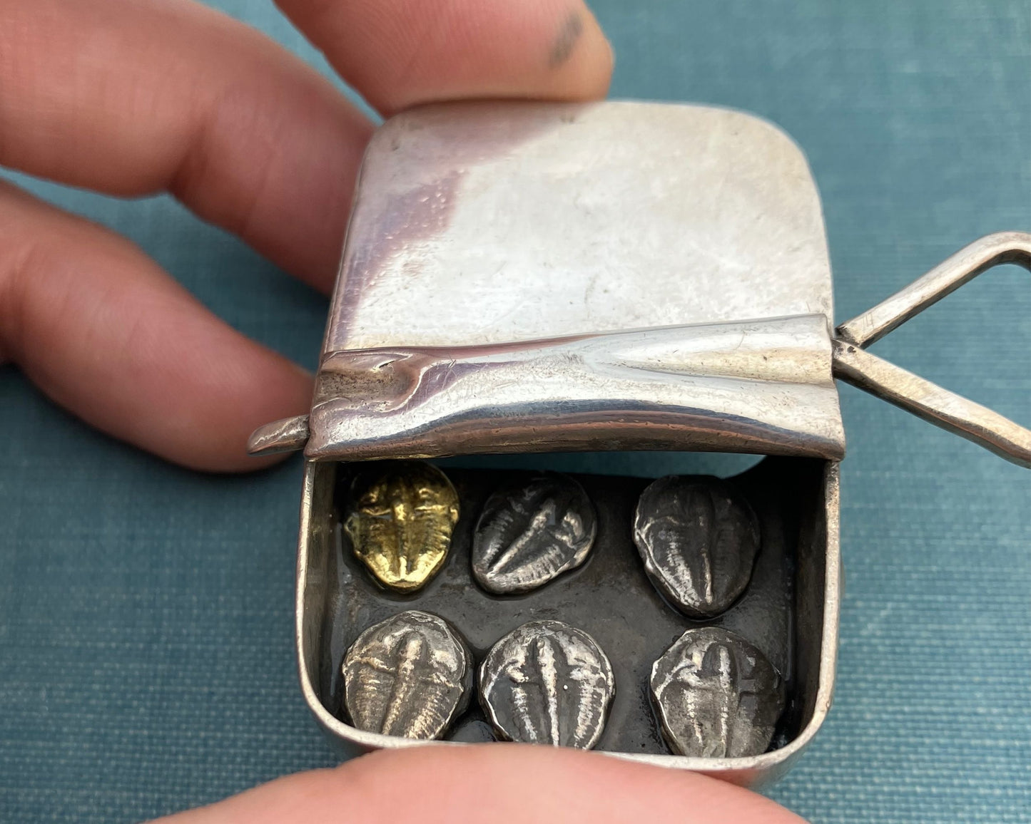 Sardine Trilobite Brooch
