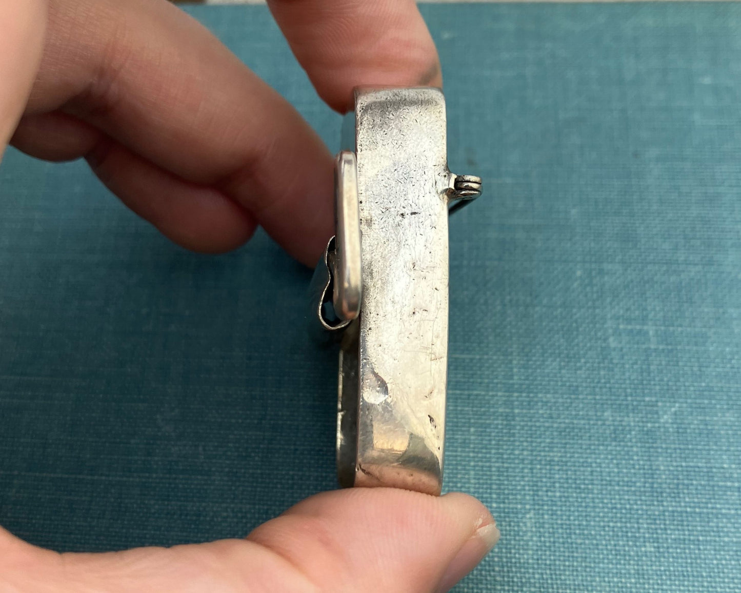 Sardine Trilobite Brooch